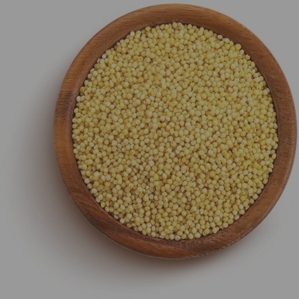 Foxtail Millet