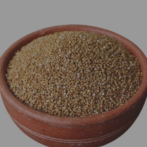 Kodo Millet